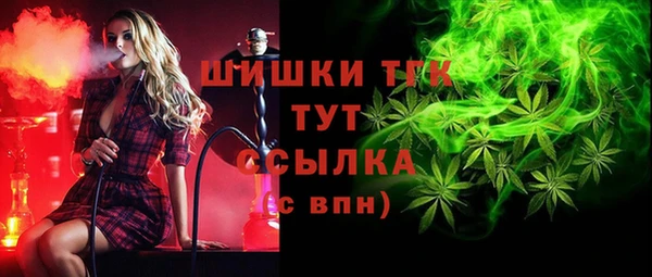 ГАЛЛЮЦИНОГЕННЫЕ ГРИБЫ Наволоки