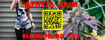 тгк Бердск