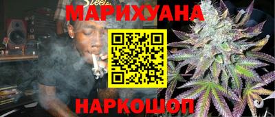 тгк Бердск