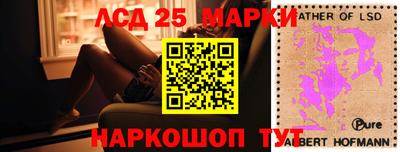тгк Бердск