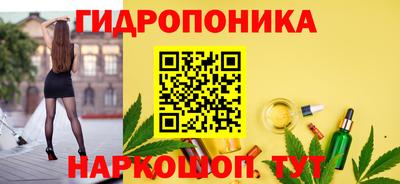 тгк Бердск