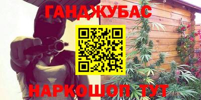 тгк Бердск