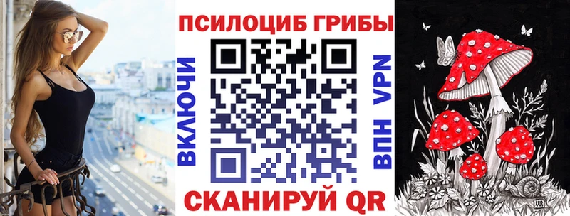 Купить закладки  Владикавказ  Псилоцибиновые грибы Magic Shrooms 