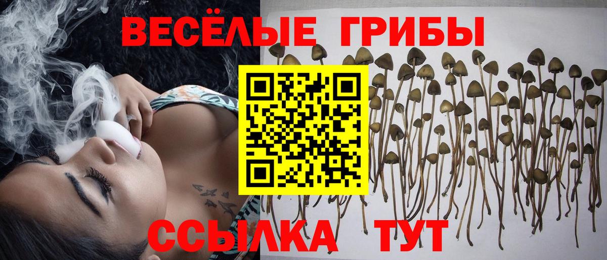 Галлюциногенные грибы мицелий  Псилоцибиновые грибы ЛСД  Вход с VPN  Владикавказ 